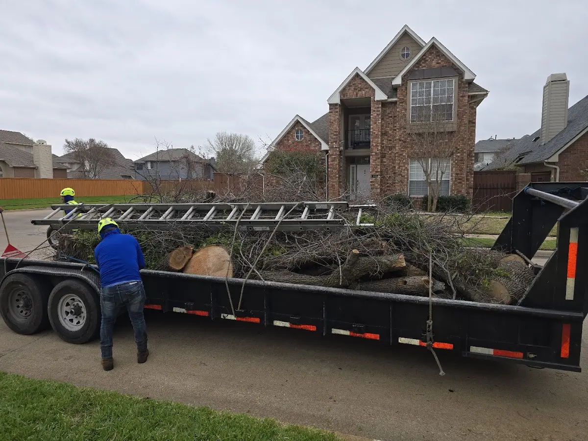 Expert Tree Fertilization with proper safety equipment in Pemberton